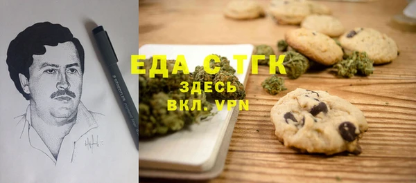 хмурый Алексин