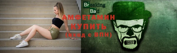 индика Нягань