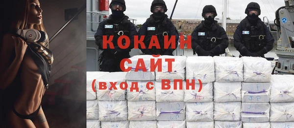 хмурый Алексин