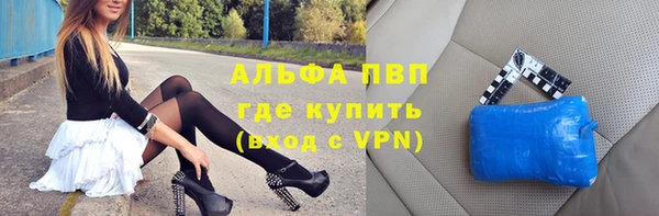 хмурый Алексин